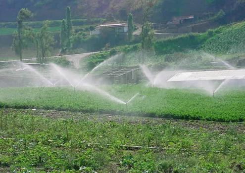 http://www.agraria.pe/sites/default/files/imagecache/foto_interior_495x350/imagenes/noticias/perucompite.jpg