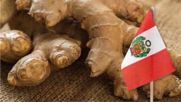 En los últimos años, los productos con mayor demanda en el mercado orgánico incluyen el kion, la palta y el café