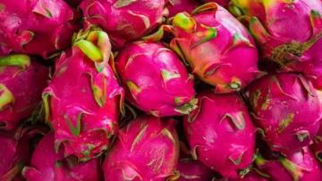 Exportaciones peruanas de pitahaya inician el 2025 con el pie derecho