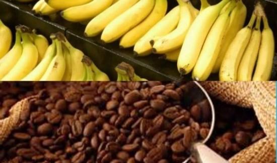 456 empresas apostaron por la exportación de productos agrícolas orgánicos en 2025