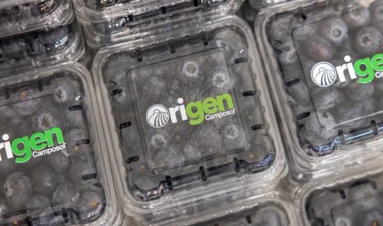 Camposol da un salto histórico en Berlín con el lanzamiento de Origen