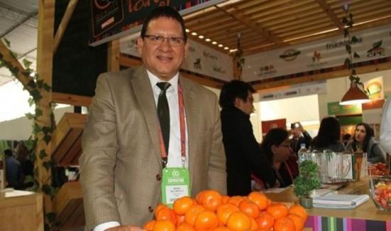 Exportaciones de mandarinas caen 40% en volumen hasta la semana 24