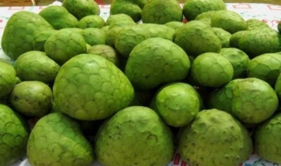 Exportaciones peruanas de chirimoya superaron los US$ 2.8 millones en 2025