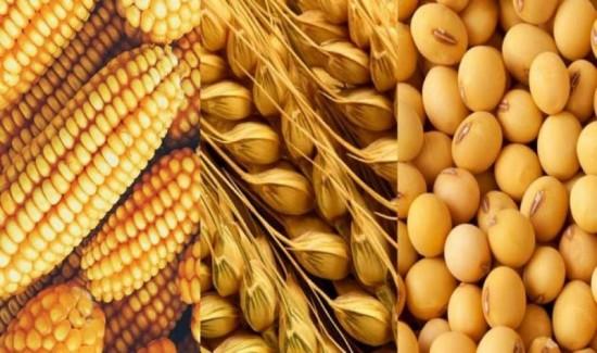 Importaciones agropecuarias alcanzan los US$ 1.670 millones, entre enero y marzo