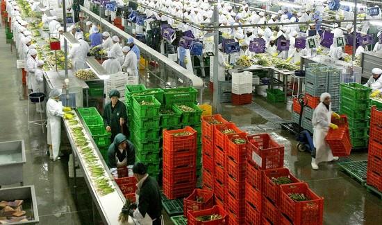 La diversificación es clave para la sostenibilidad de la agroexportación peruana
