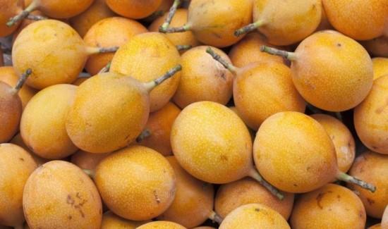 Producción de granadilla alcanzó las 50.853 toneladas en 2024