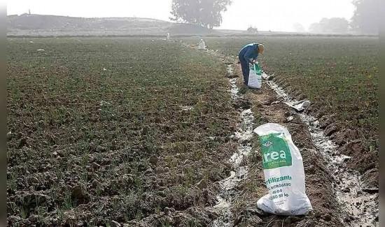 Urea se desploma hasta US$300 por tonelada tras récord histórico de abril