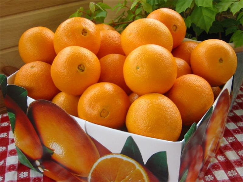 'CITRICULTORES PERUANOS DEBEN APOSTAR POR VARIEDADES MODERNAS'