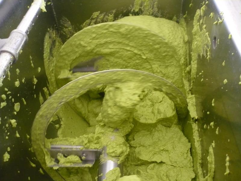 TERMO BATIDORA DISMINUIRÁ COSTOS DE PRODUCCIÓN DE PULPA DE PALTA