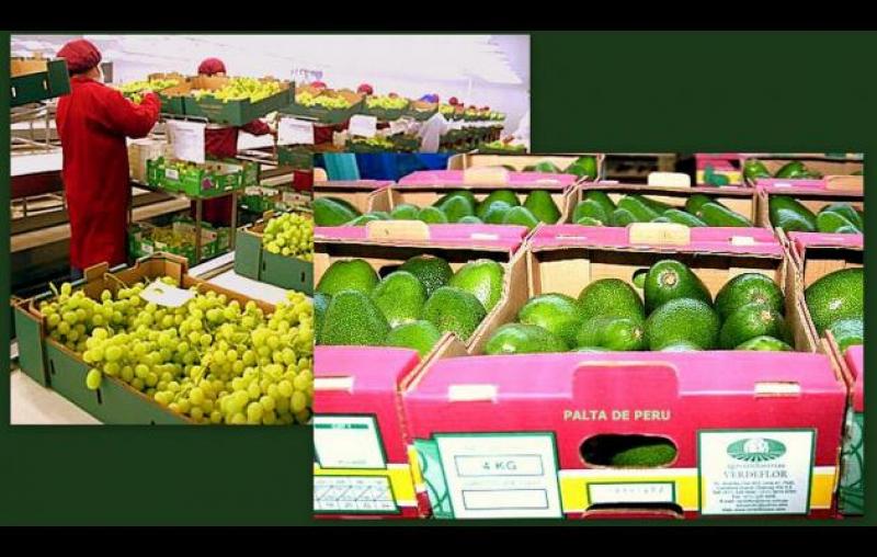 “ENVÍOS AGRARIOS CRECERÁN EN VOLUMEN PERO NO ES SEGURO EN VALOR”