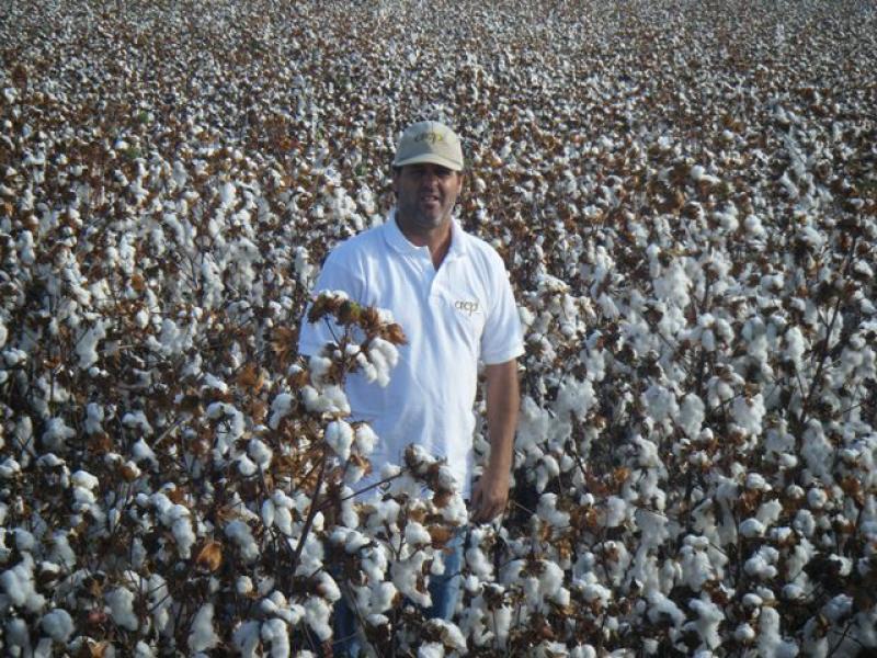 “LA LEY DE MORATORIA DEBERÍA PERMITIR UNA TOLERANCIA DE ENTRE  1.5%  Y 2% DE PRESENCIA NO INTENCIONAL TRANSGÉNICA”