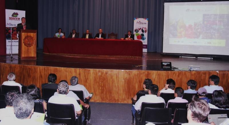 15 MIL HECTÁREAS DE LA SIERRA PIURANA APTAS PARA SER INCLUIDAS EN EL \"BOOM\" DE LOS BERRIES PERUANOS