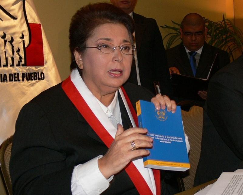 150 MIL HECTÁREAS DE BOSQUES SE PIERDEN ANUALMENTE A CONSECUENCIA DE LA DEFORESTACIÓN 