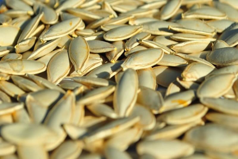 2018: Exportaciones de semillas de hortalizas mostraron importante crecimiento en valor