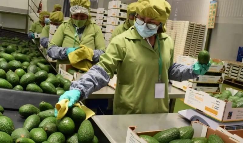 2026… otro buen año agroexportador