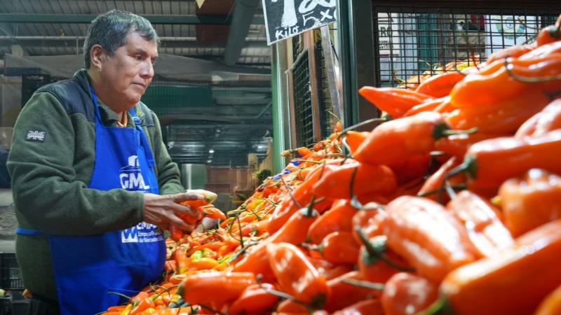 88.708 toneladas de ajíes ingresaron al GMML en 2024