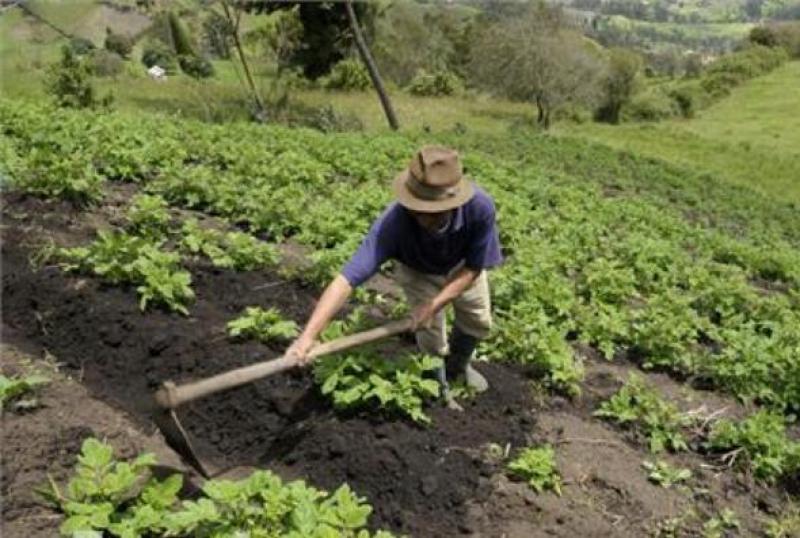 90% DE COOPERATIVAS PUNEÑAS APLICAN NORMAS TÉCNICAS DE CALIDAD