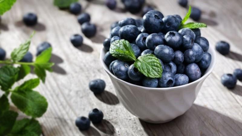 Actual temporada de arándanos orgánicos confirma tendencia de crecimiento sostenido en despachos