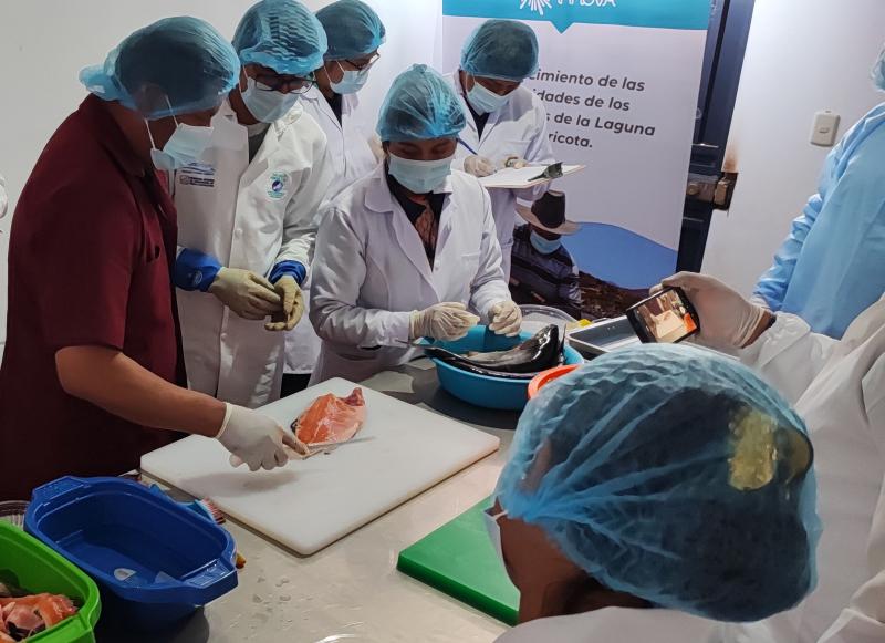 Acuicultores de la Laguna de Aricota y Tacna Innova optimizan en forma innovadora, sostenible y rentable el cultivo de la trucha arco iris