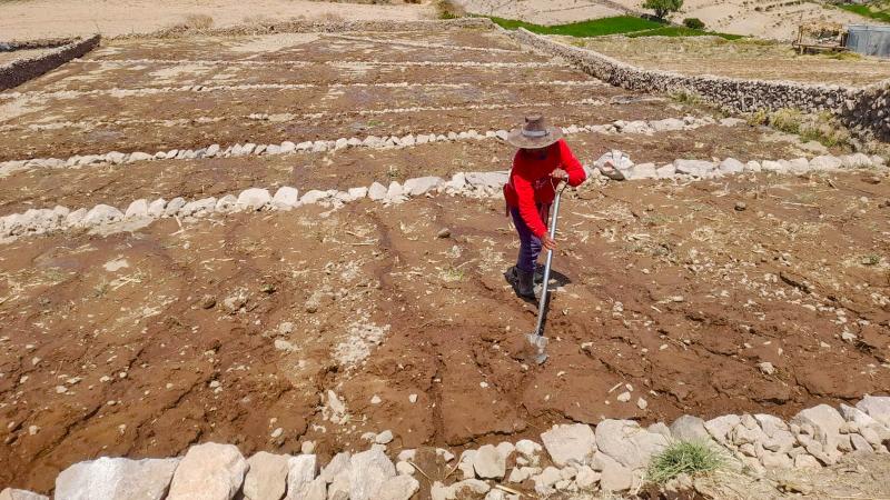 Agro Rural avanza en la rehabilitación de andenes y proyectos de siembra y cosecha de agua