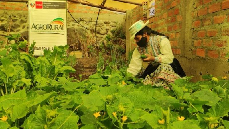 Agro Rural culminó el 2022 con la entrega de fitotoldos y cobertizos al 100% en beneficio de productores arequipeños