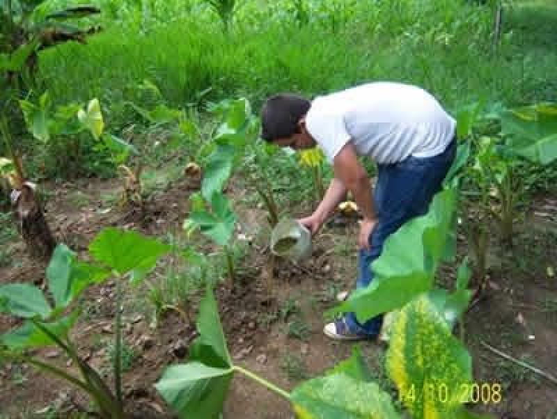 Agro Rural destinará guano orgánico de isla a pequeños productores