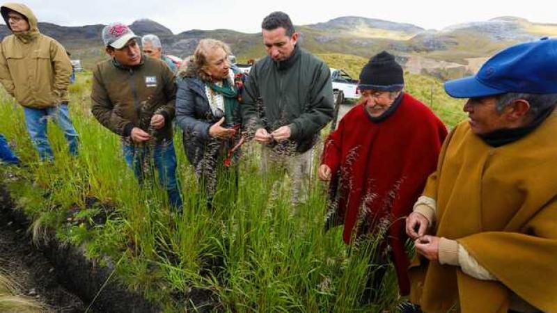 Agro Rural ejecuta acciones que mejorarán la capacidad de almacenamiento del agua de lluvia en Cajamarca
