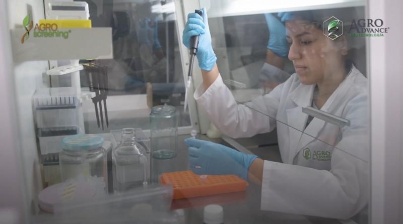 AgroAdvance Perú inaugura su primer laboratorio de diagnóstico fitopatológico con tecnología molecular en Perú