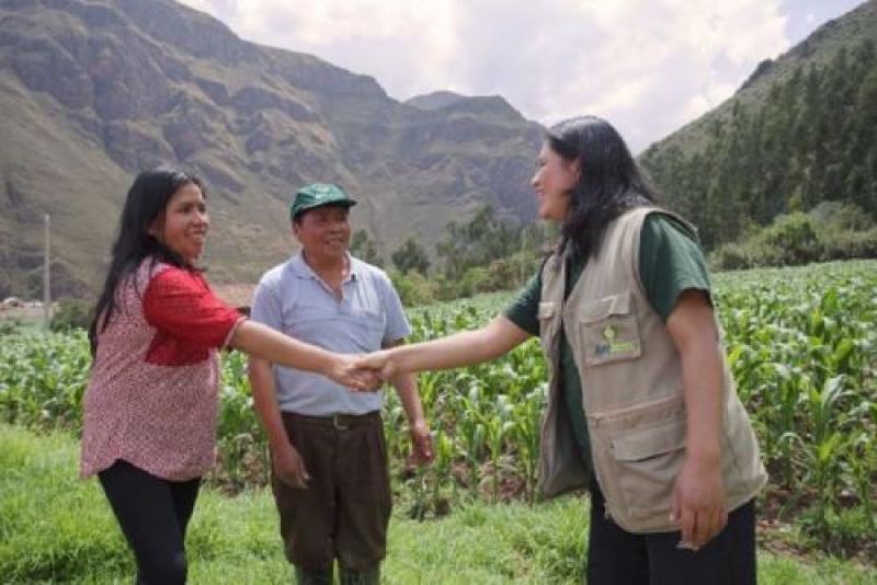 Agrobanco otorgó créditos por S/ 13.3 millones a agricultores y gremios
