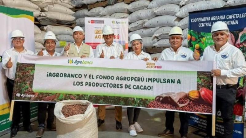 Agrobanco y el Fondo AgroPerú impulsan la producción y comercialización del cacao