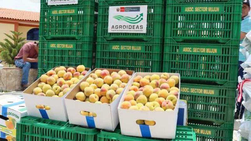 Agroideas financia plan de negocio de melocotón en Oyón