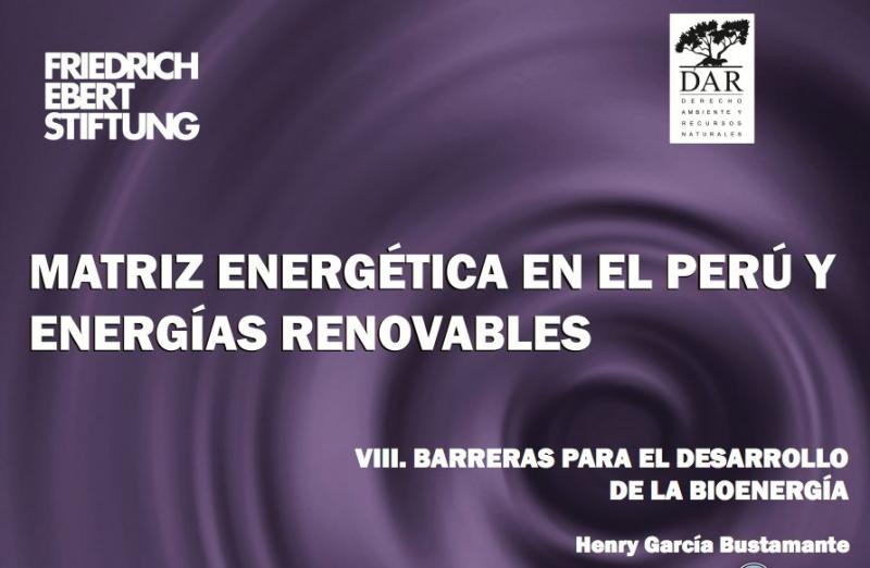 AGROINDUSTRIA: SECTOR POTENCIAL PARA EL DESARROLLO SOSTENIBLE DE BIOENERGÍA EN PERÚ 