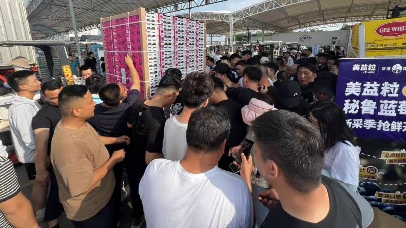 Agrovision concreta primer envío de arándanos de la temporada a China desde el Puerto de Chancay