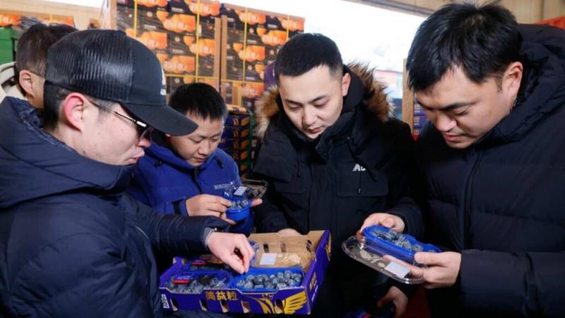 Agrovision vende toda su primera cosecha de berries cultivadas localmente en China