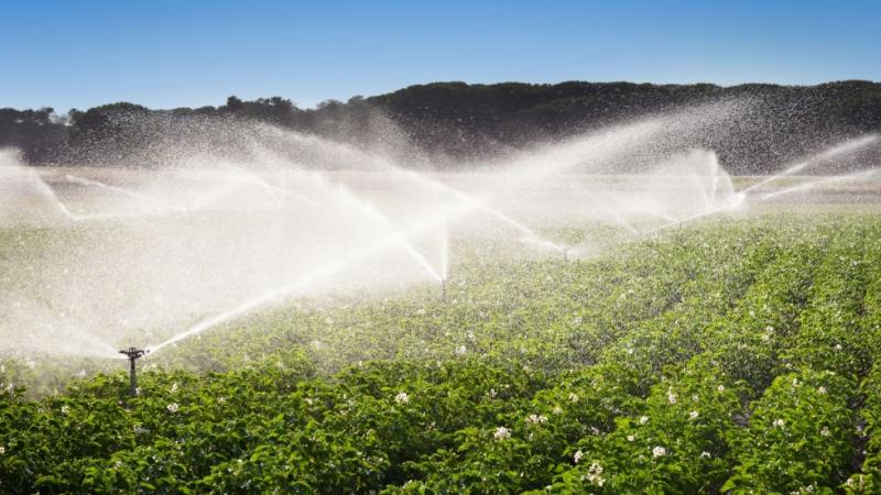 AGUA PARA LA AGRICULTURA DEL PERU: URGE POLITICA DE ESTADO 2027-203