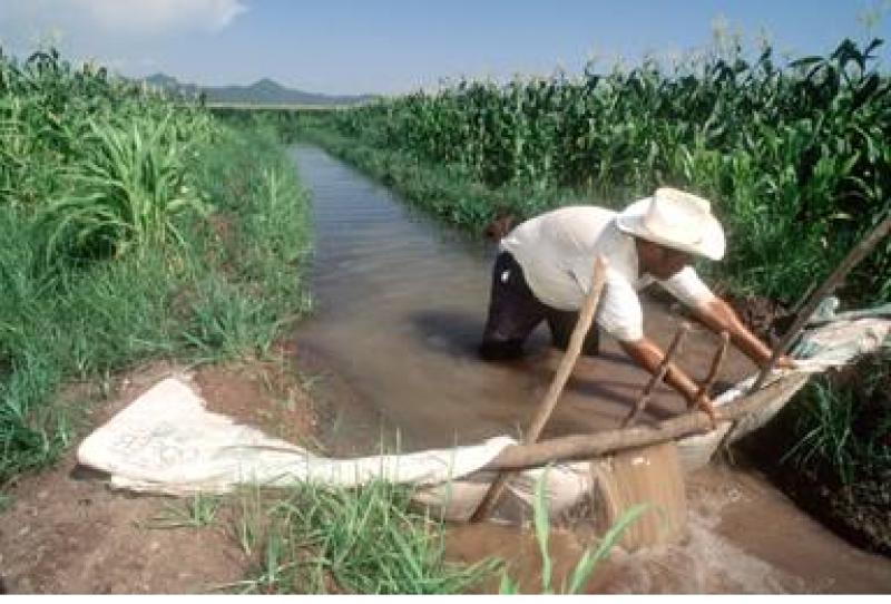 Agua y pobreza agrícola 