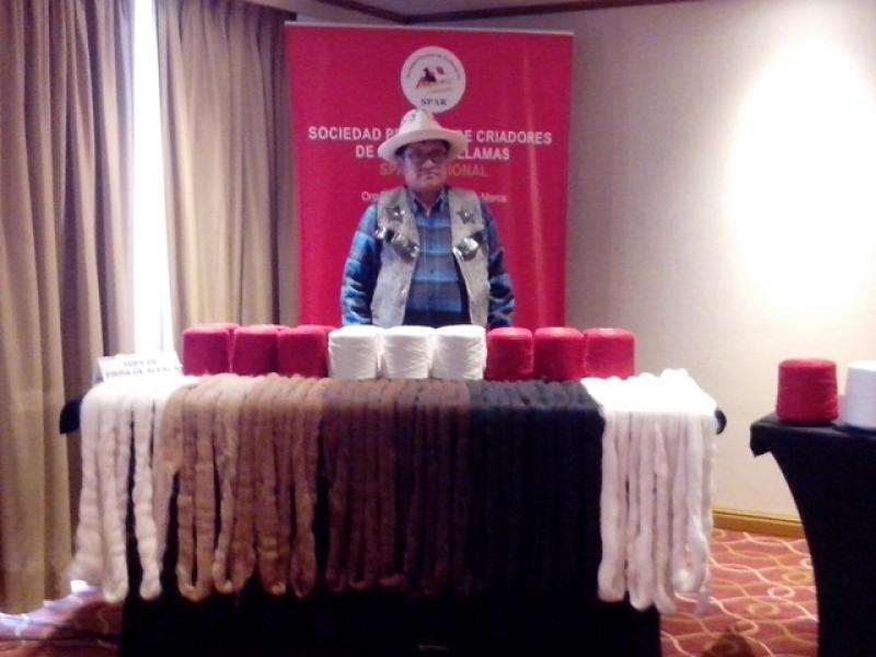 ALPAQUEROS SOLICITAN US$9 MILLONES PARA PROYECTO DE TRANSFORMACIÓN DE FIBRA