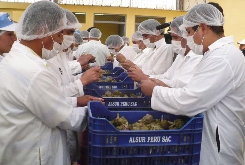 Alsur planea ampliar planta de conservas y congelado en Arequipa