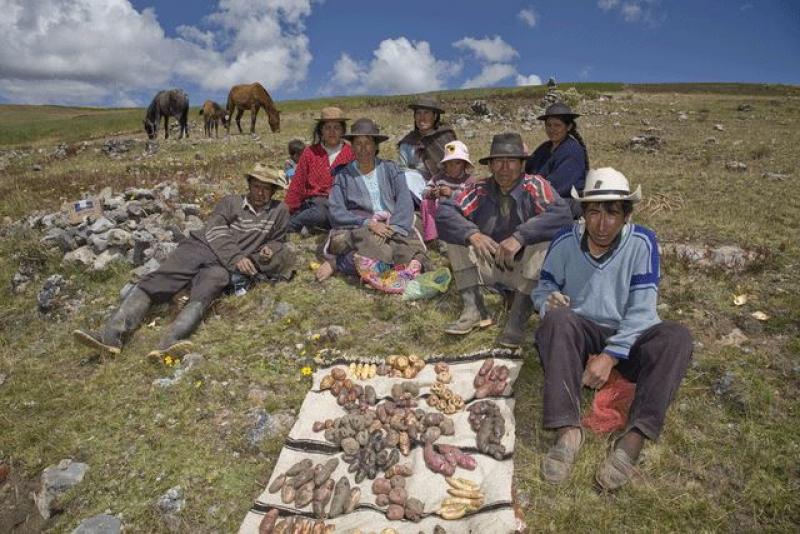 ANPE SOLICITÓ LA INMEDIATA APROBACIÓN DE LA LEY DE SEGURIDAD ALIMENTARIA