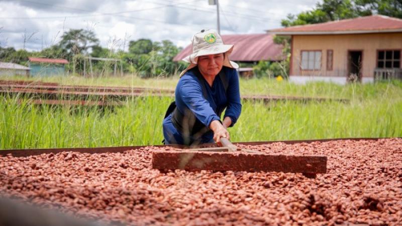 Aprueban 13 Proyectos de Reconversión Productiva Agropecuaria (PRPA)
