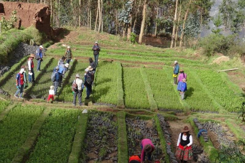 Apurímac invirtió S/ 61.7 millones de regalías mineras en desarrollo económico