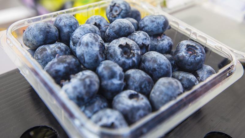 Arándanos de Perú: a un mes de los aranceles de Trump, ¿hay nuevos temores?