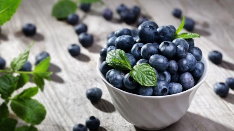 \"Arándanos han sido una sorpresa para crecimiento de exportaciones\"