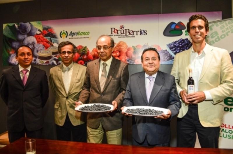 ÁREA DE BERRIES CRECERÍA 1.000 HAS POR AÑO A PARTIR DE 2015