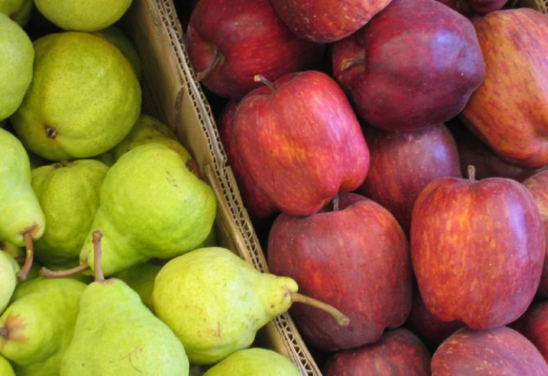 Argentina: Declaran la emergencia productiva para manzanas y peras
