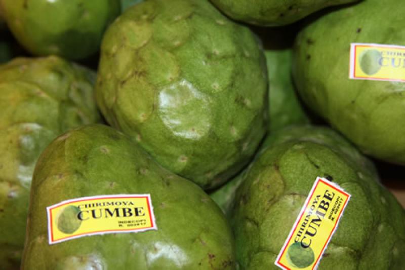 ASOCIACIÓN DE HUAROCHIRÍ LOGRÓ EXPORTAR 27 TM DE CHIRIMOYA A EUROPA
