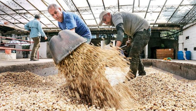 Aumentó el valor de exportaciones en América Latina