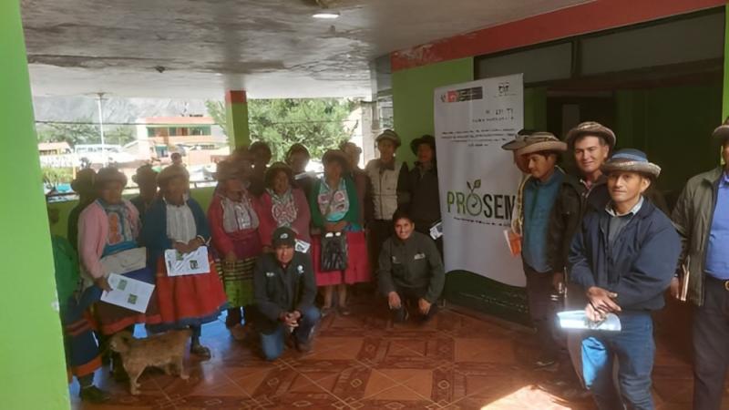 Ayacucho: instalan parcela demostrativa para incrementar semillas de maíz amiláceo INIA 620 Wari con calidad en provincia Víctor Fajardo
