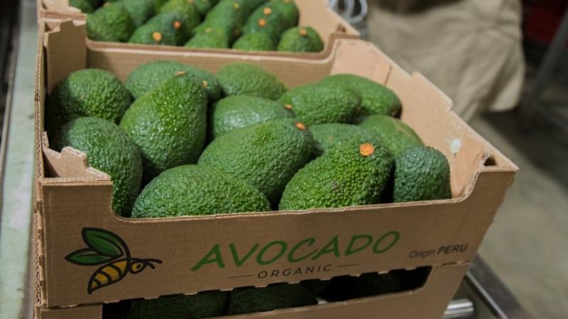 BeFair Bio invierte en el desarrollo de una planta de producción de bioinsumos