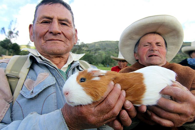 Beneficiarios de Pensión 65 reciben apoyo para el desarrollo de pequeños emprendimientos agropecuarios y acuícolas